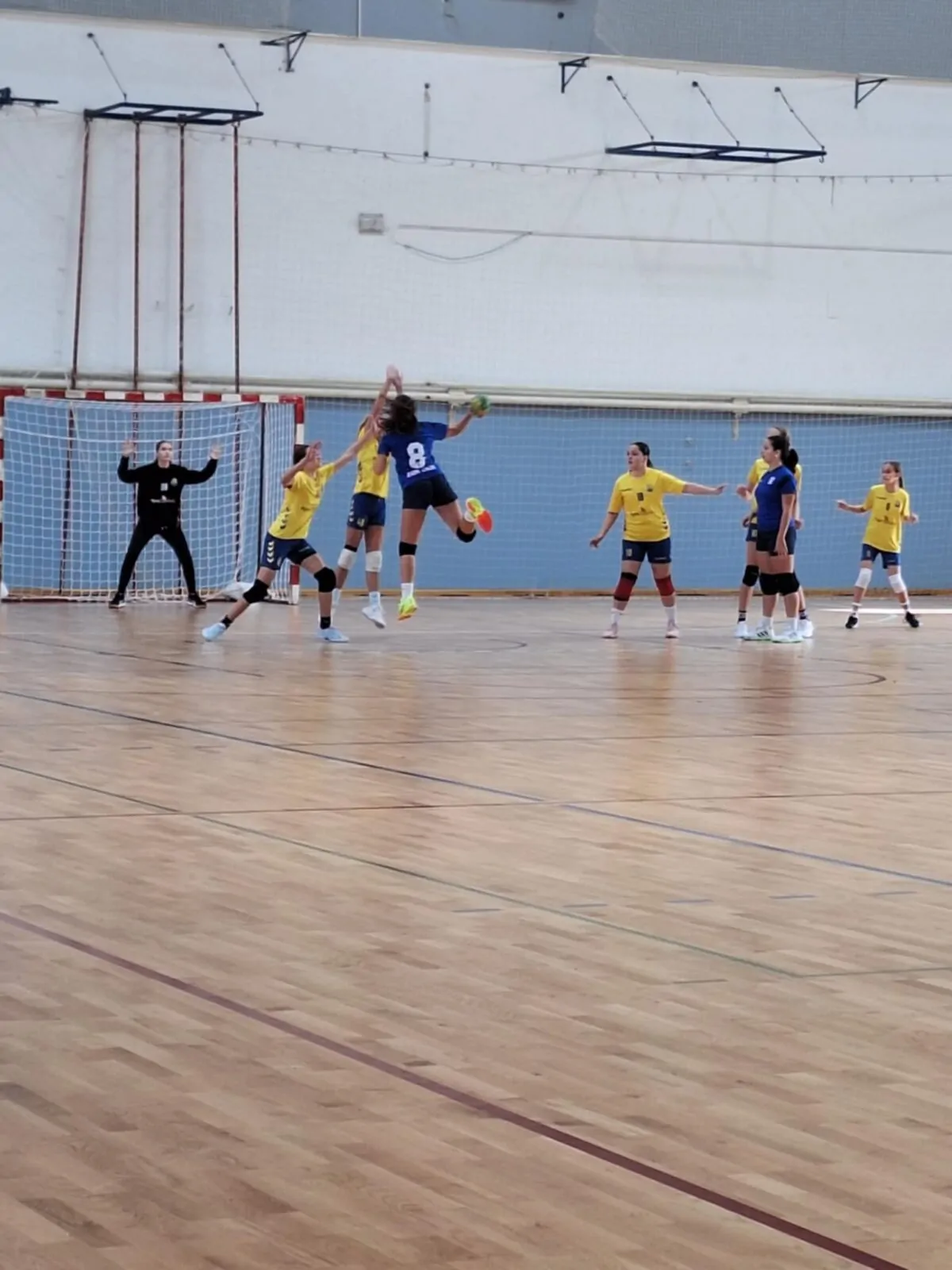 Sjajan nastup naših djevojčica u 1. HRL Jug! - Objava.hr 