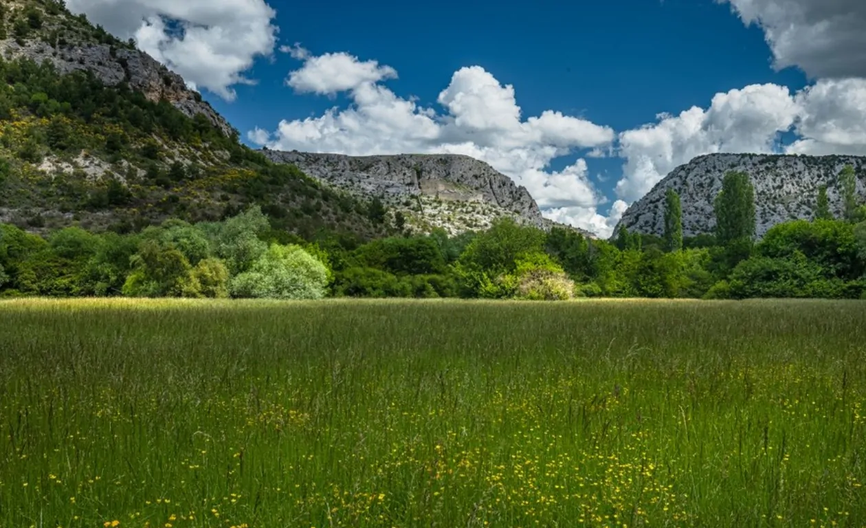Nastavlja se edukativni ciklus „Stočarstvo koje čuva prirodu“