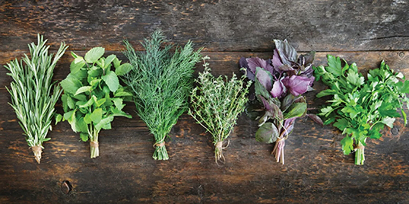 Poziv na akciju obilježavanja Dana planeta Zemlje - Objava.hr 