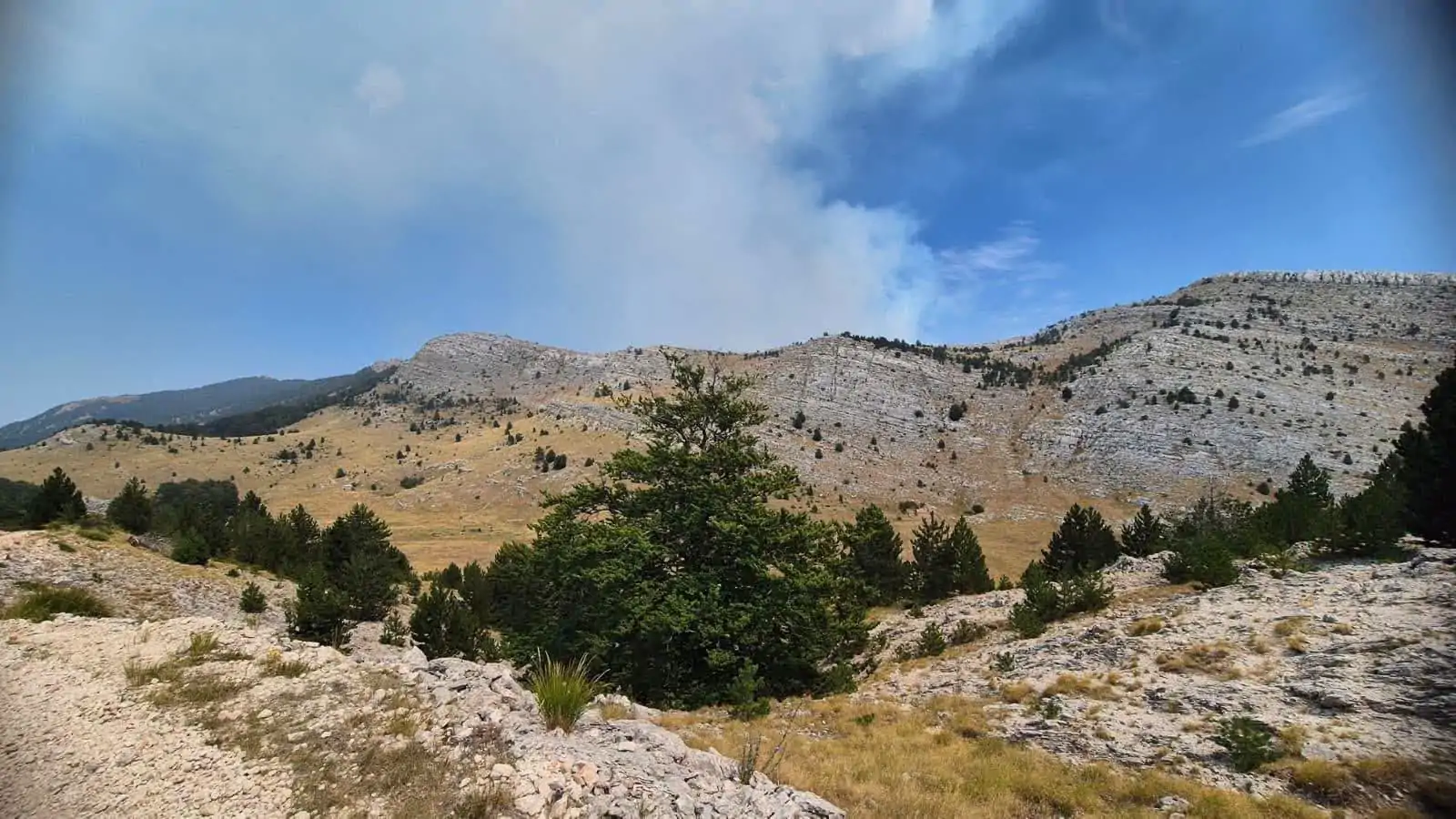 Dinara-Požar